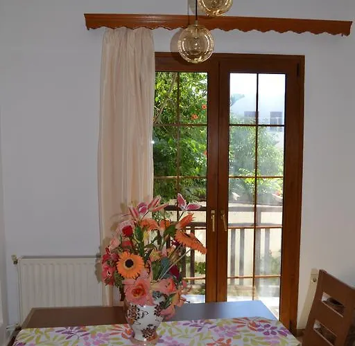 Live The Dream Naxos City